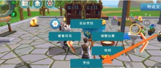 创造与魔法魔法灵龙饲料制作方法 创造与魔法魔法灵龙饲料制作方法