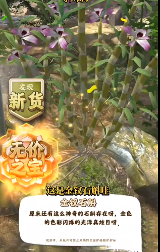 夺笋高手金钗石斛怎么获得 夺笋高手金钗石斛获得方法