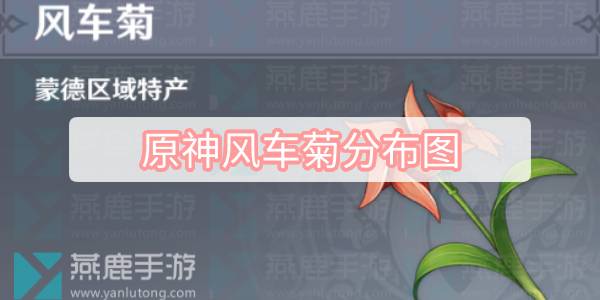 原神风车菊分布图 原神风车菊采集位置一览