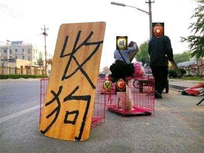 骑马与砍杀16th mod新手指南（轻松入门的骑砍世界）