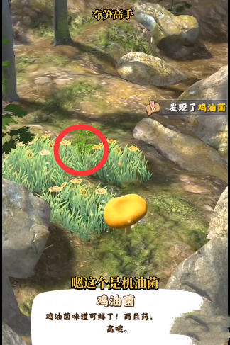 夺笋高手金钗石斛怎么获得 夺笋高手金钗石斛获得方法