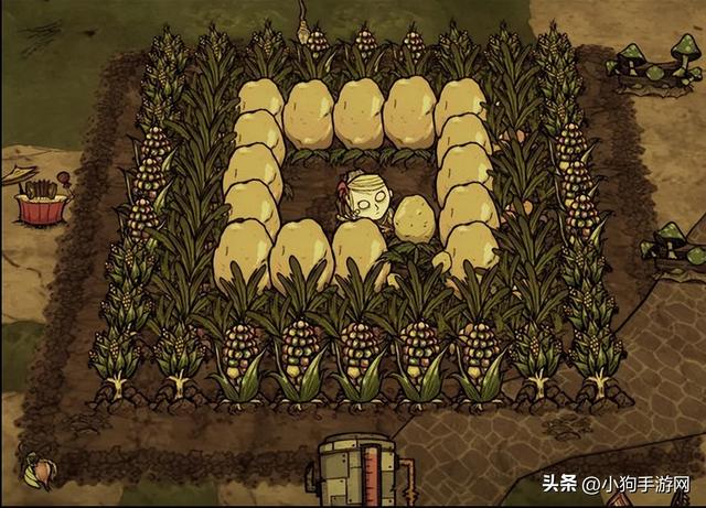 饥荒联机新手生存指南（探索与合作的乐趣）